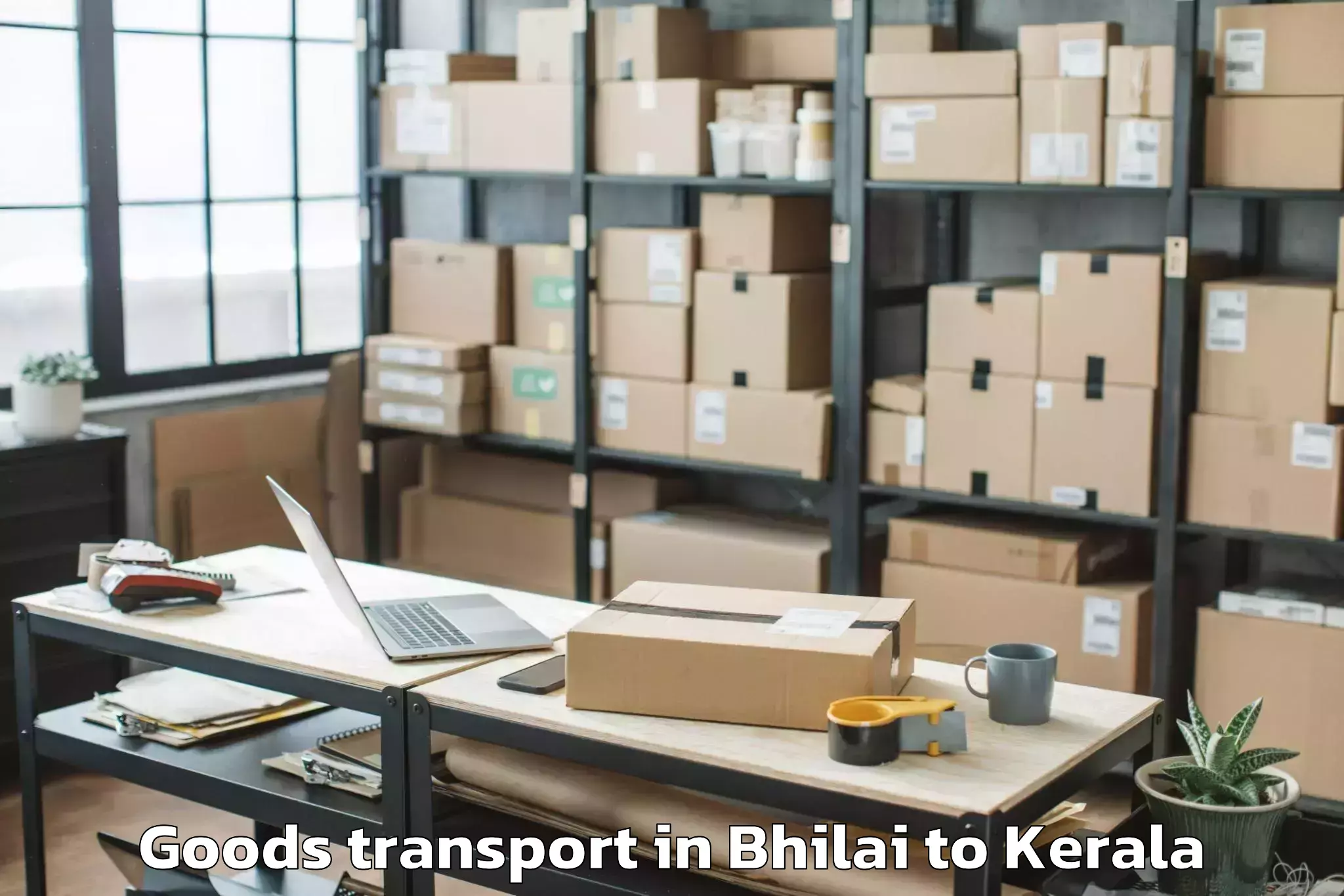 Top Bhilai to Allepey Goods Transport Available